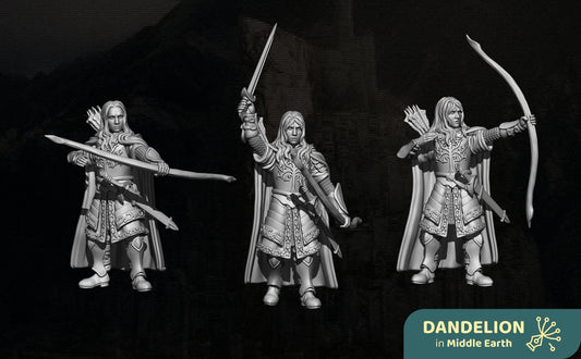 Captain of the Capital Guard & White Company