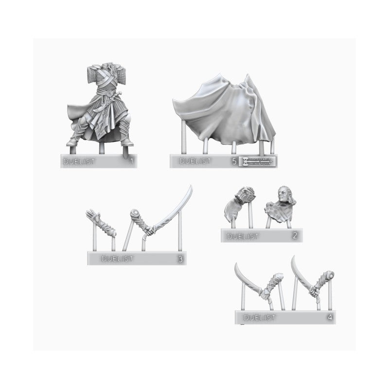 Noble Elf Bladesinger | Unreleased Miniatures