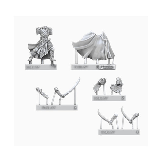 Noble Elf Bladesinger | Unreleased Miniatures