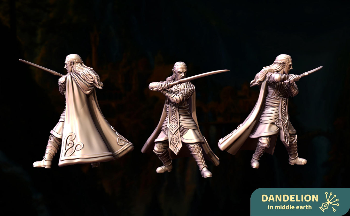 Deep Valley, Mighty Blade Lord no helmet  | Deep Valley Elves | Glorfindel | Dandelion in middle earth | elven warriors | lotr | 28mm |