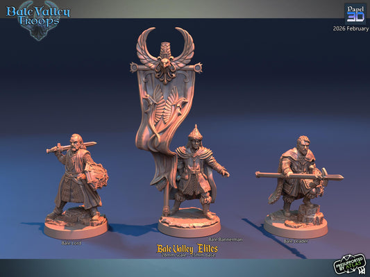 Bale Valley Elites  | Papel 3D | 28mm | MESBG | lotr | Middle earth | Dale | The Hobbit | Brand | Girion | Erebor