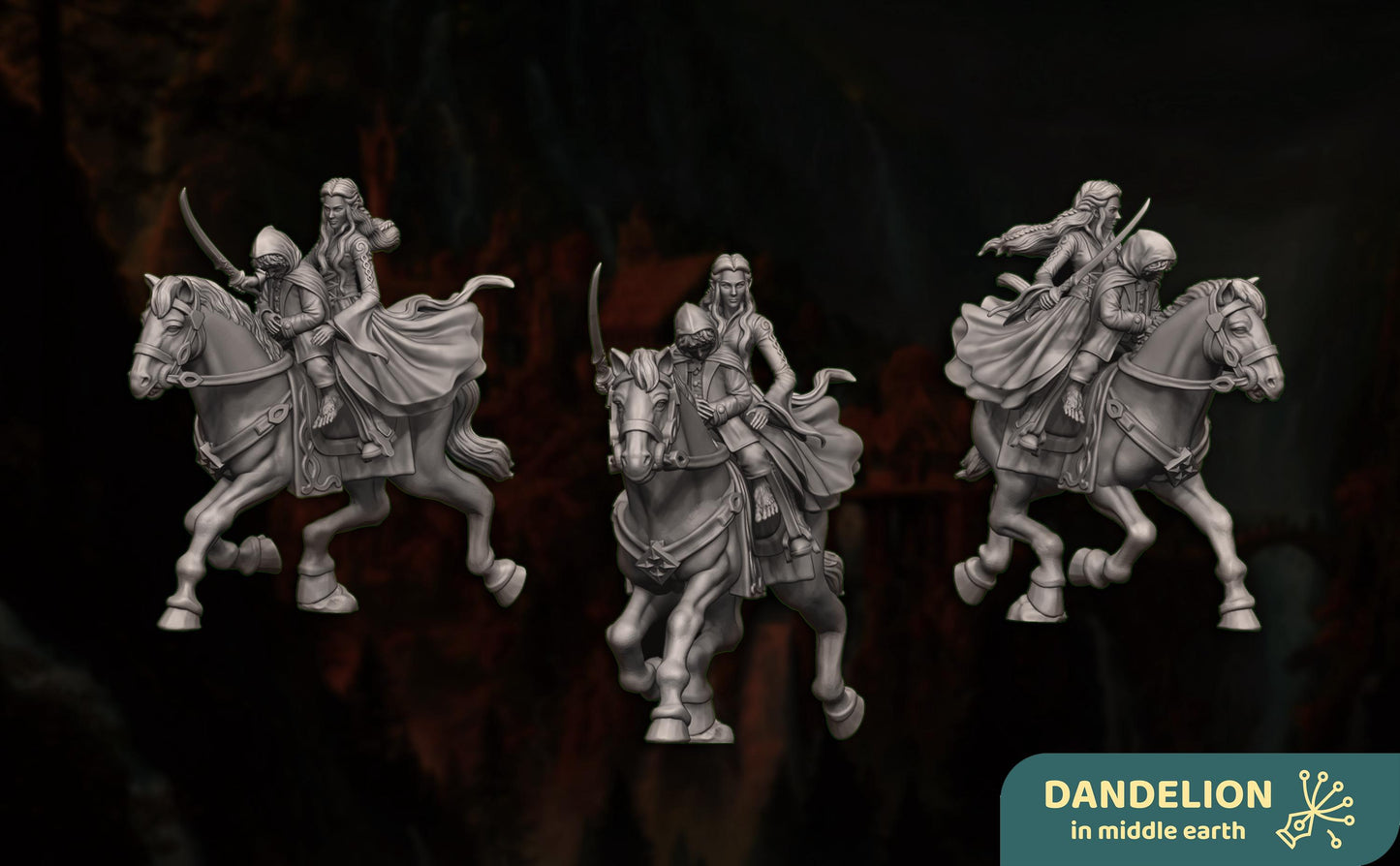 Deep Valley, Noble Maiden with The Ringbearer | Deep Valley Elves | Dandelion in middle earth | elven warriors | mesbg | lotr | 28mm | Arwen