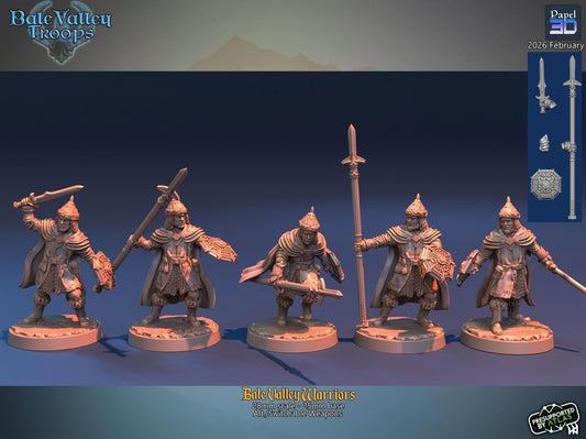 Bale Valley Warriors  | Papel 3D | 28mm | MESBG | lotr | Middle earth | Dale | The Hobbit | Brand | Girion | Erebor