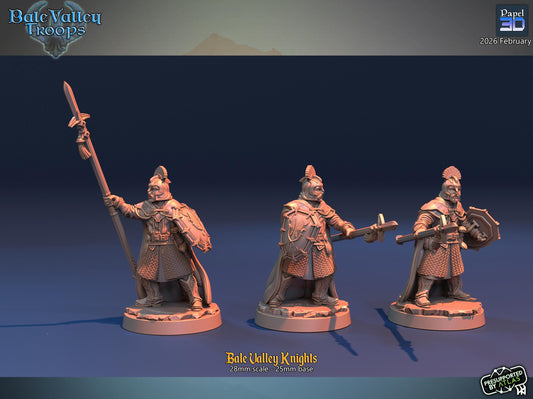 Bale Valley Knights  | Papel 3D | 28mm | MESBG | lotr | Middle earth | Dale | The Hobbit | Brand | Girion | Erebor